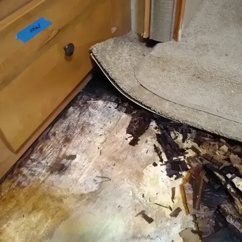 Best Wood Floor Water Damage Service in Kings Mills, OH